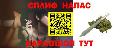 гашик Брянск