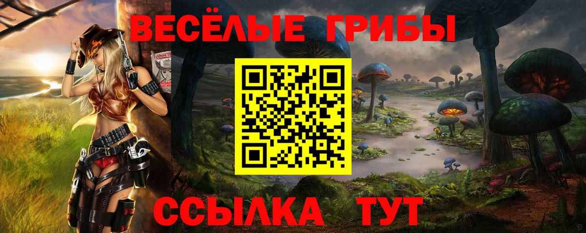 Псилоцибиновые грибы MAGIC MUSHROOMS  Вход с VPN  Калач-на-Дону 